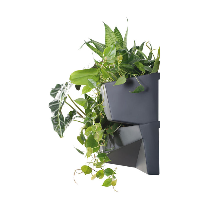 Prosperplast Cascade Garden Garden Wall Vertikalni vrt IO3W800-S433