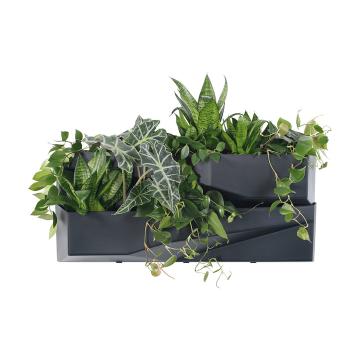 Prosperplast Cascade Garden Garden Wall Vertikalni vrt IO3W800-S433