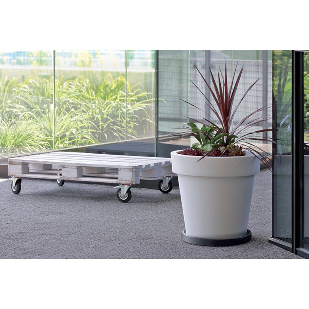 Prosperplast Mobile Saucer Round IPRR450-S433 stalak za teglice