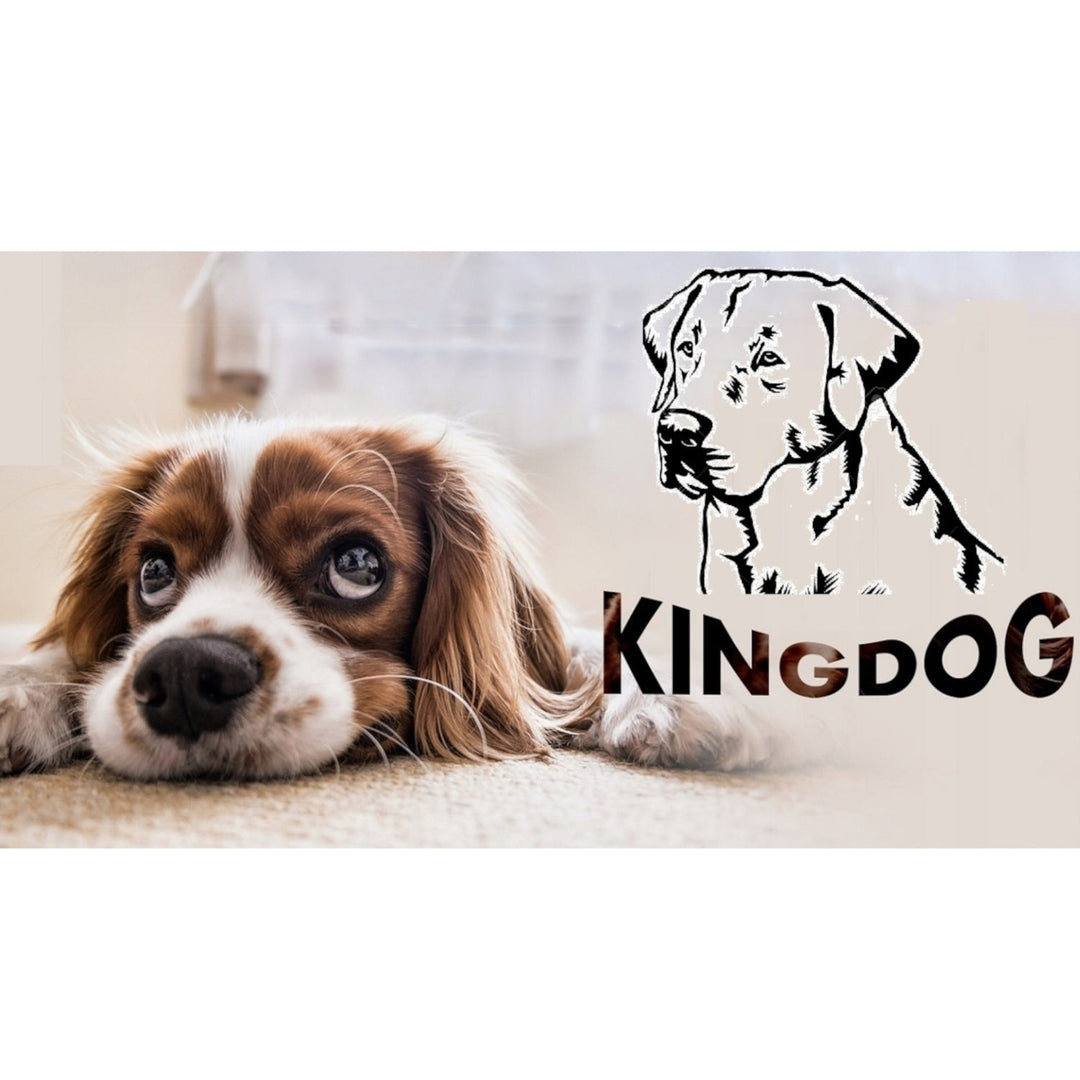 Veliki krevet za pse i mačke, 100 x 75, tamnosivi – Kingdog veličina L