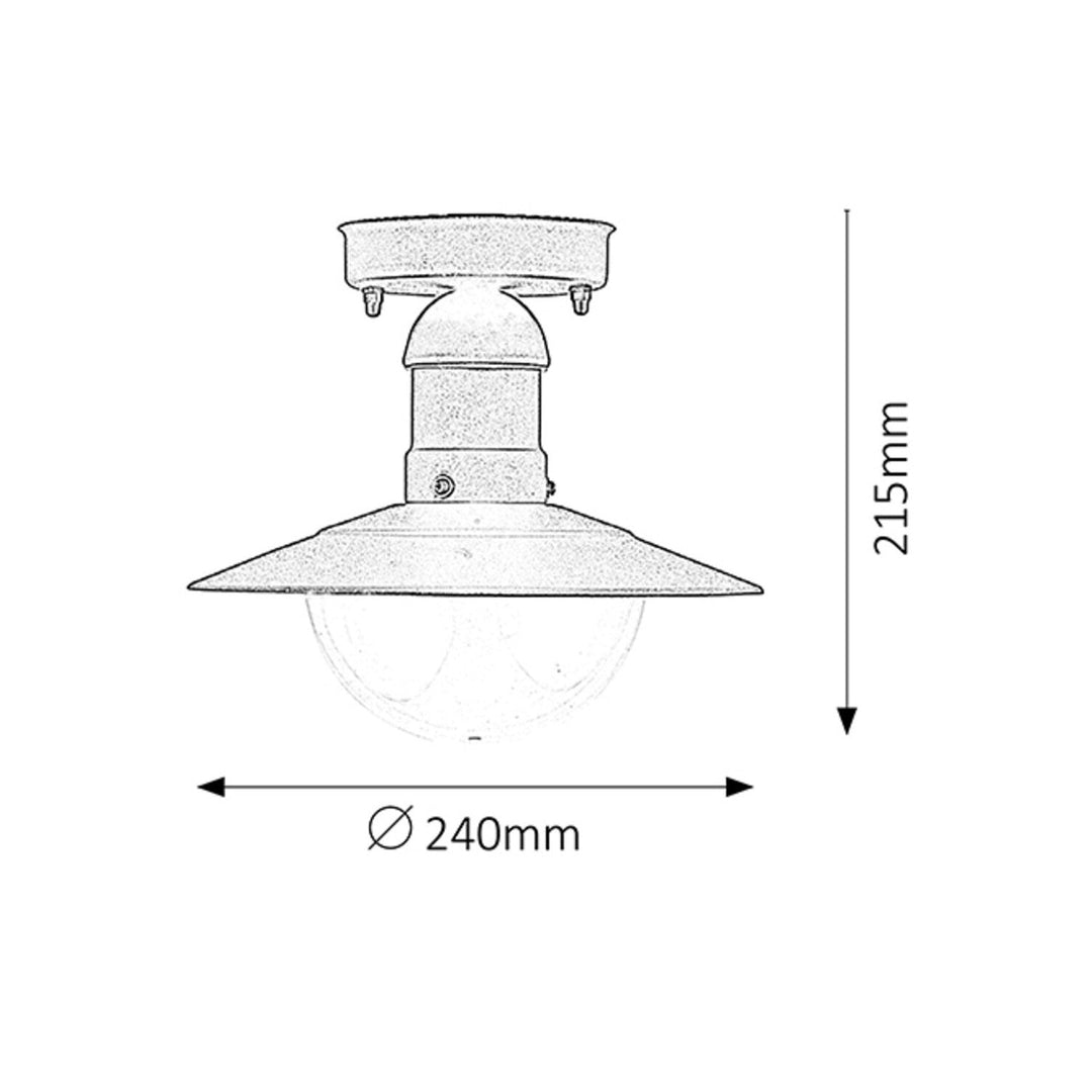 Rabalux Oslo 8716 vanjska metalna stropna lampa