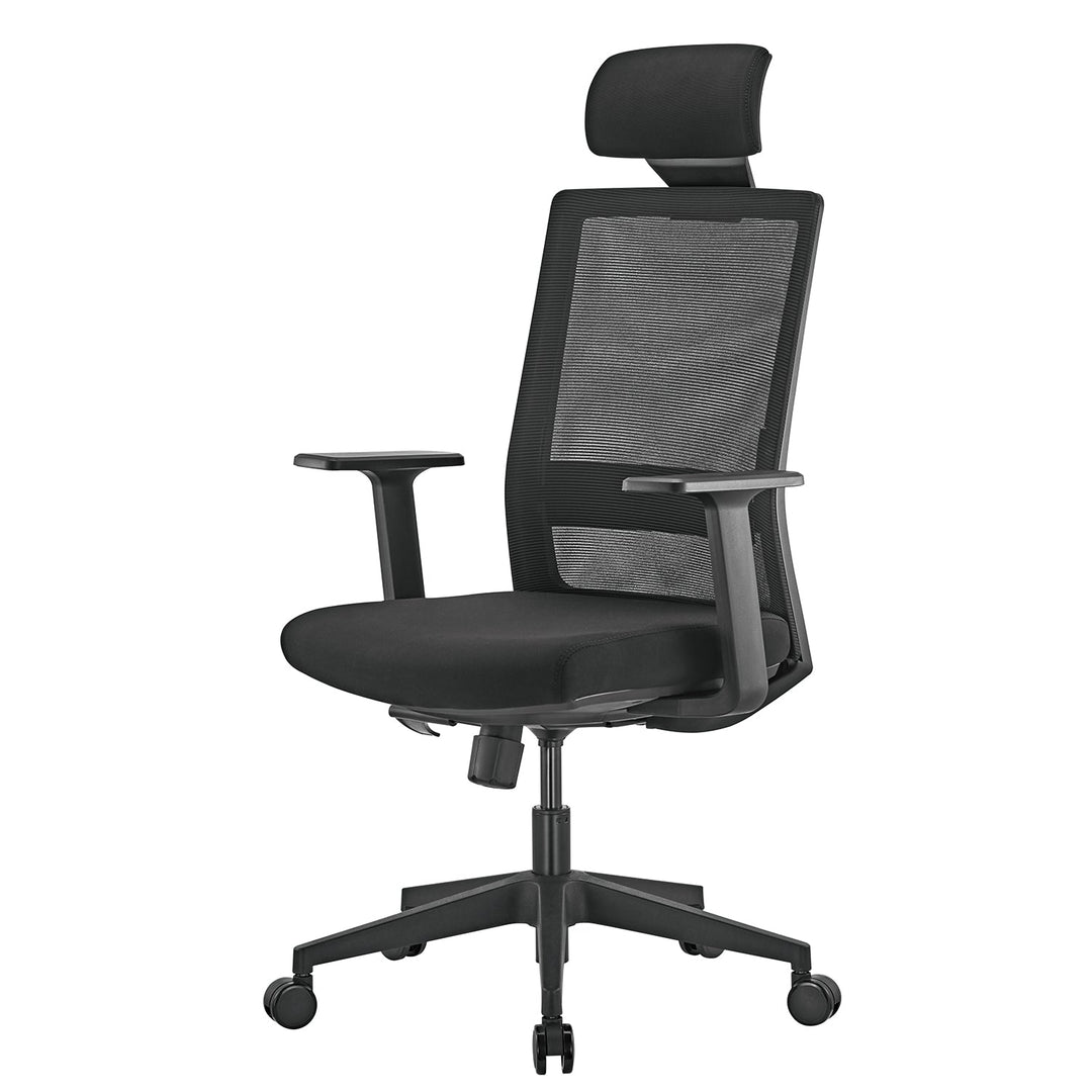 Ergo Office premium ergonomski uredski stolac s visokim naslonom, max. 150 kg, ER-425