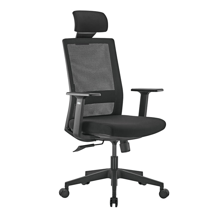 Ergo Office premium ergonomski uredski stolac s visokim naslonom, max. 150 kg, ER-425