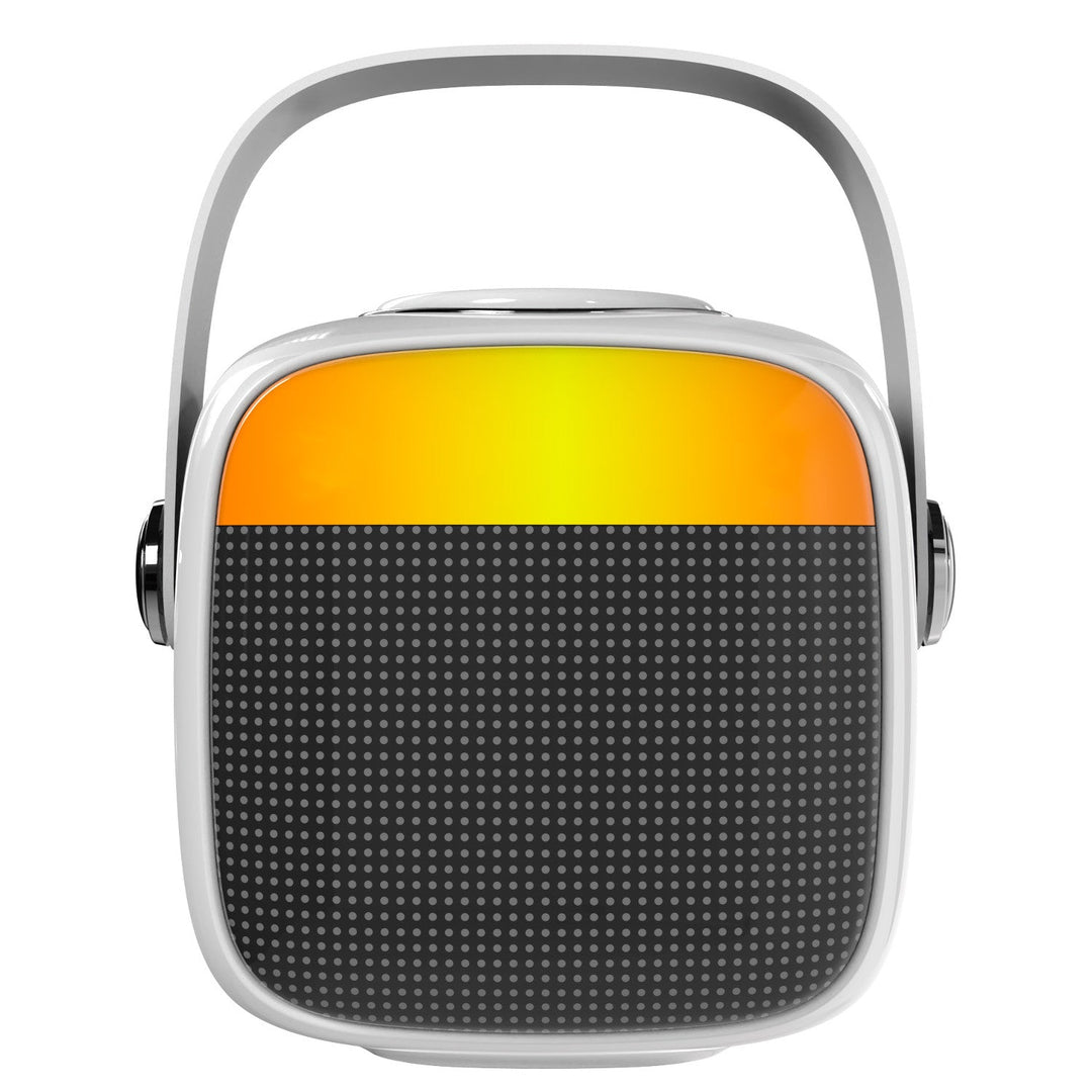 Adler bežični zvučnik s mikrofonom za karaoke, Bluetooth, AD 1199 W