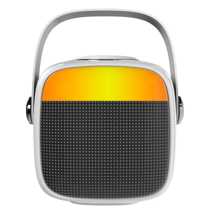 Adler bežični zvučnik s mikrofonom za karaoke, Bluetooth, AD 1199 W