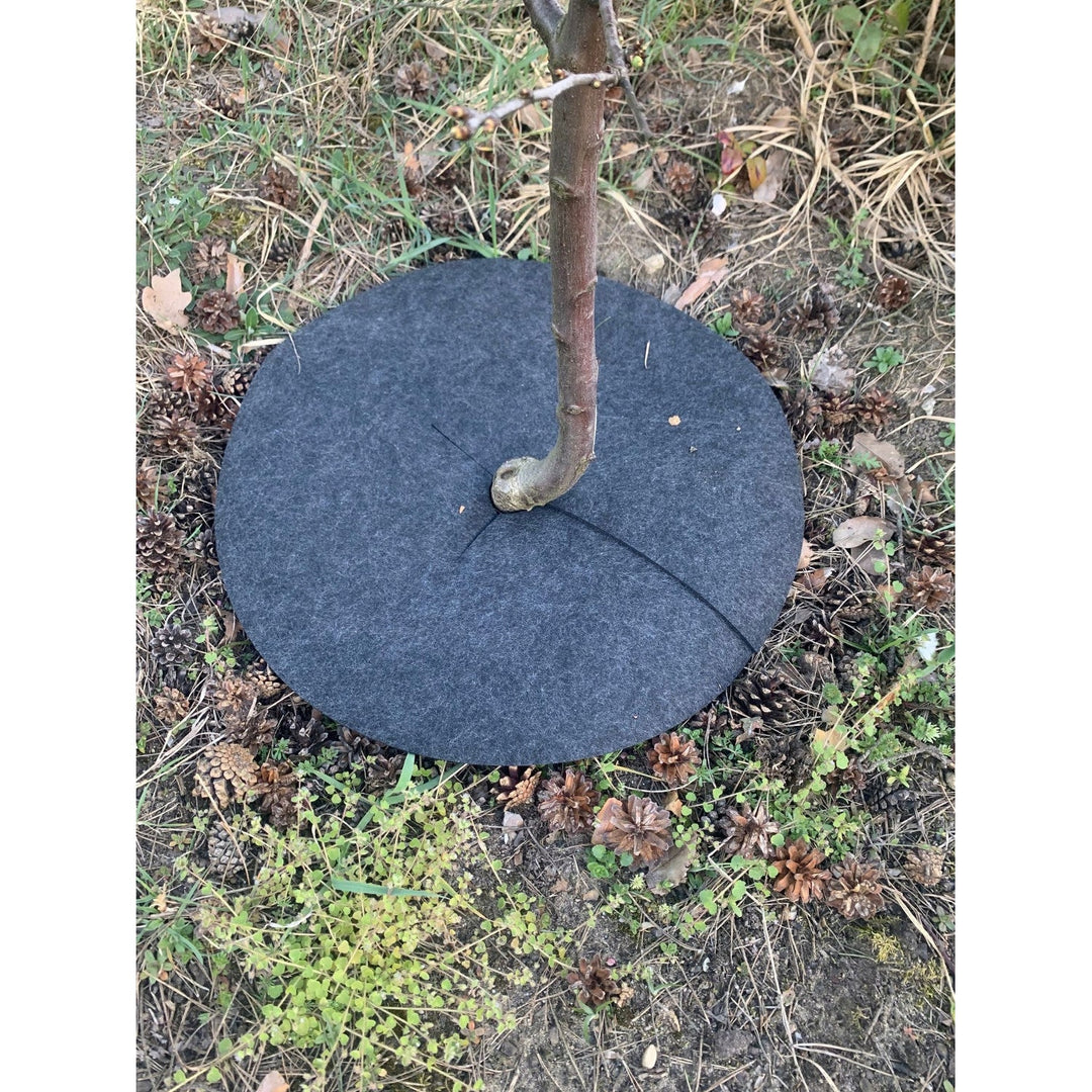 Bertoni set diskova za kontrolu korova, 3 komada, 40 cm, sivi