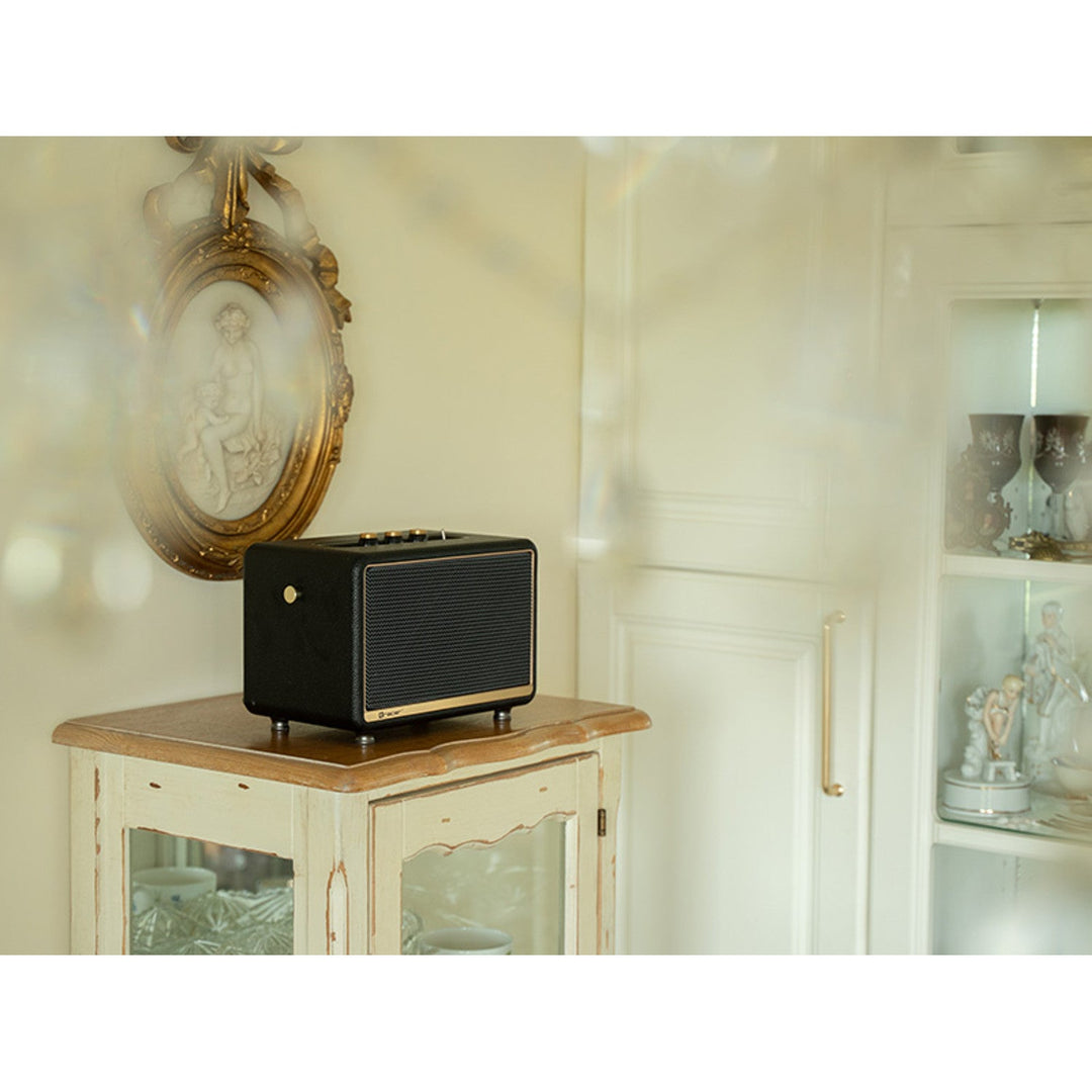 Tracer prijenosni zvučnik, Bluetooth, FM radio, 30W, crni, M30