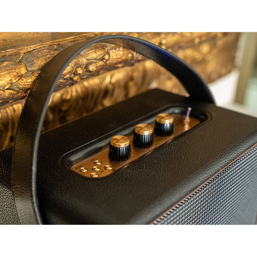 Tracer prijenosni zvučnik, Bluetooth, FM radio, 30W, crni, M30