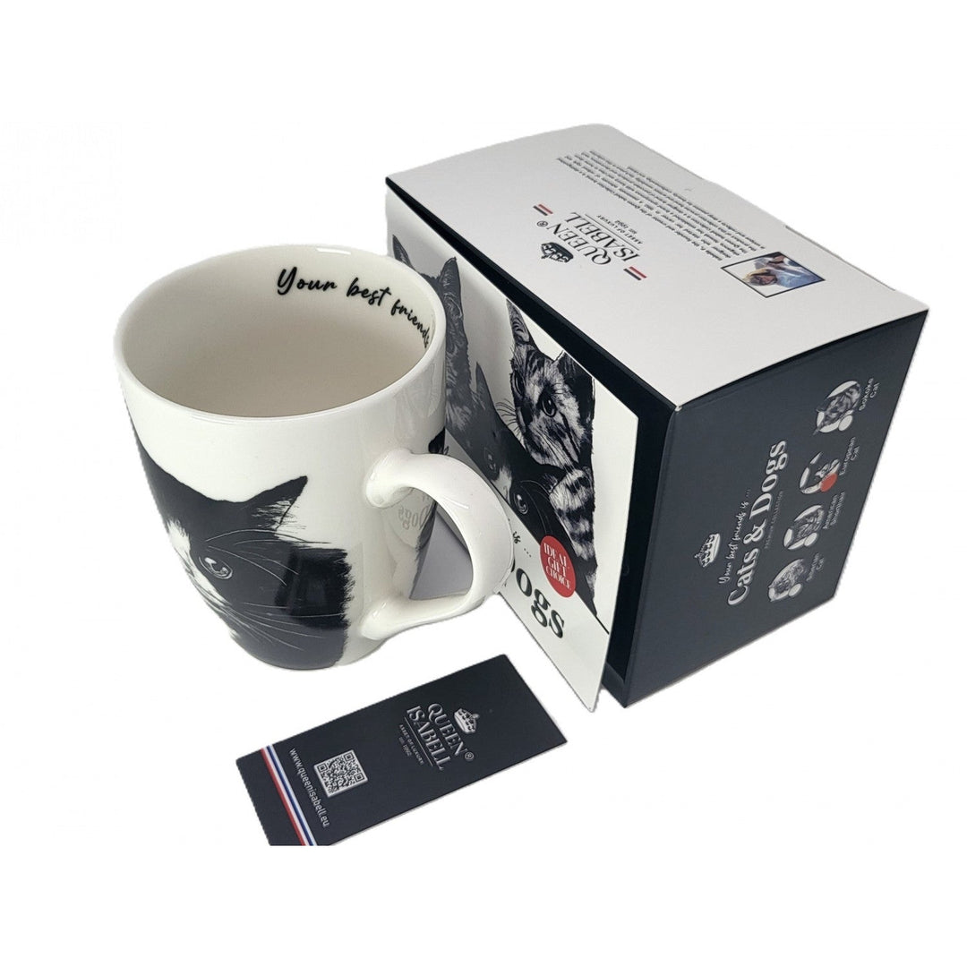 Porculanska šalica Queen Isabel, europska mačka, 350 ml, Q1-05218