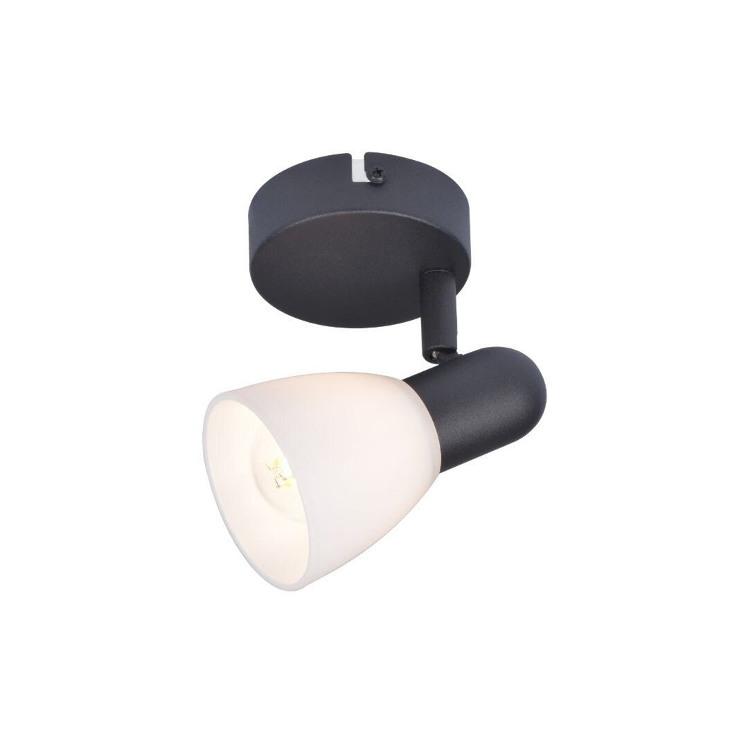 Stropna lampa Rabalux, reflektor, navoj za žarulju E14, IP20, crna, Soma