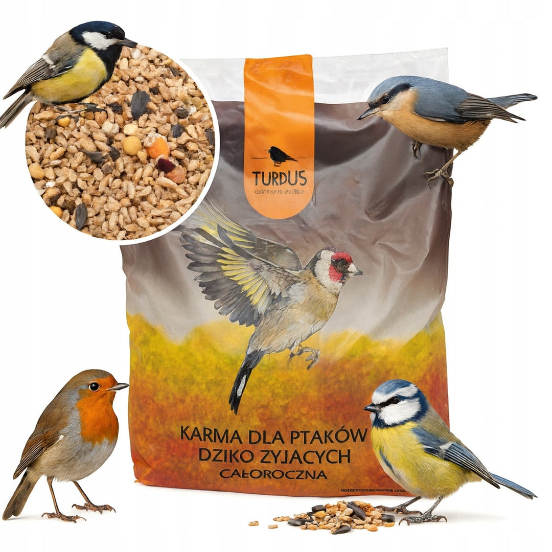Woodok hranilica za ptice, smrčak, spaljena, čvrsti kuke + 1 kg sjemena za ptice