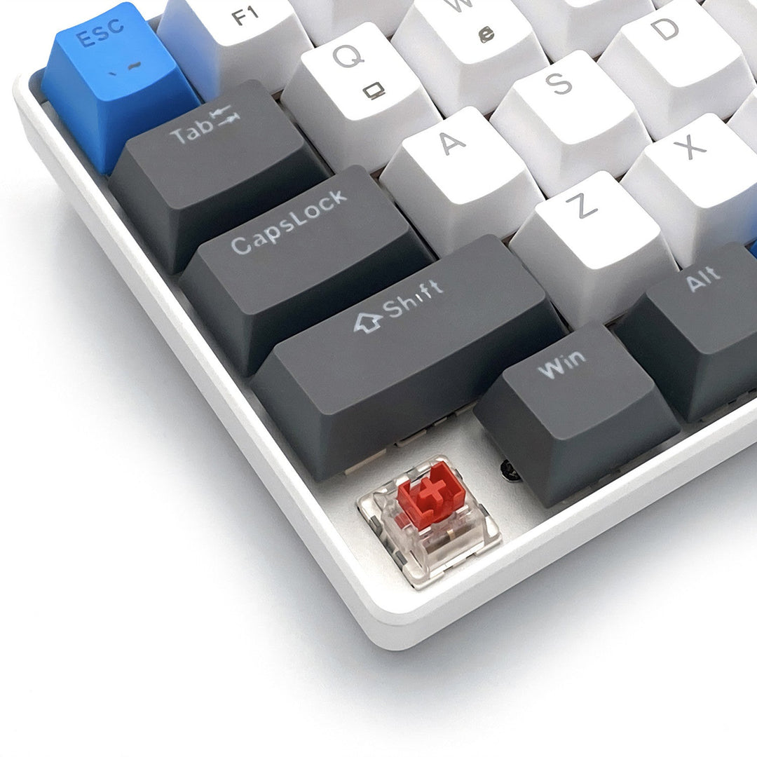 RED CORE MX60 - Kratka mehanička gaming tipkovnica od 60 %, tihi RED mehanički prekidači, boje pozadinsko osvjetljenje, 68 tipki, USB-C. Boja: bijela/plava. Mediatech