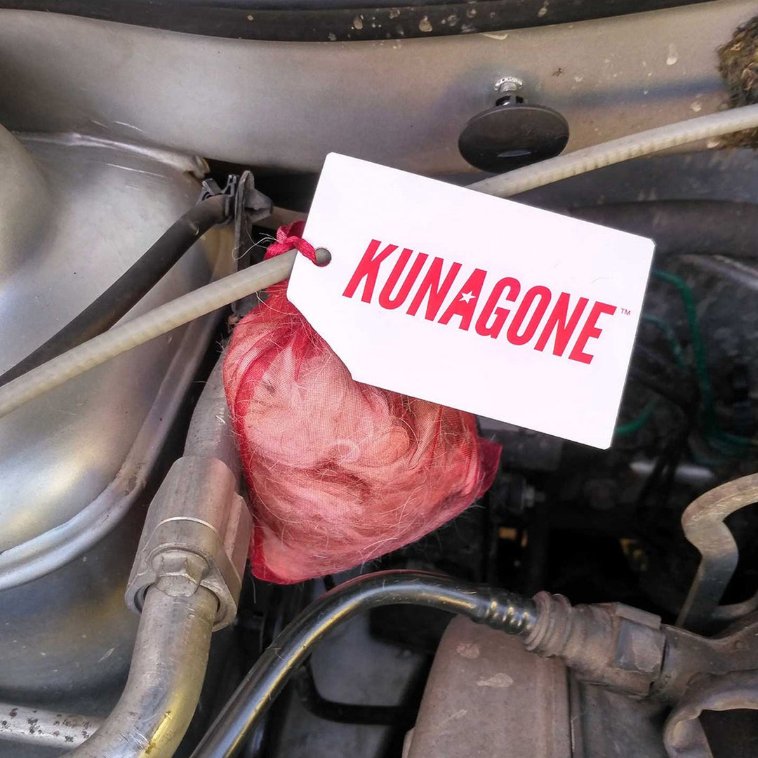 Kunagone Marten Repellent, prirodni, za automobile, domove i potkrovlja, 2 komada