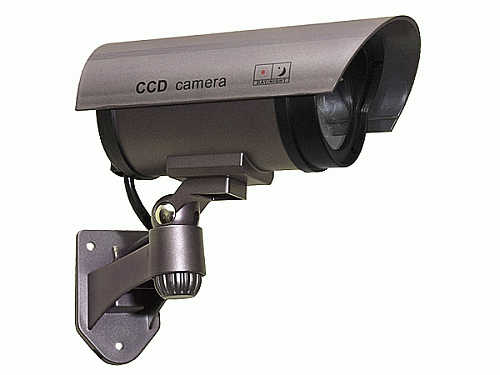 Lažna cijevna kamera, IR LED diode, srebrna, IR1100S