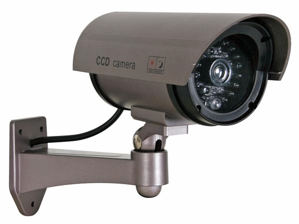 Lažna cijevna kamera, IR LED diode, srebrna, IR1100S