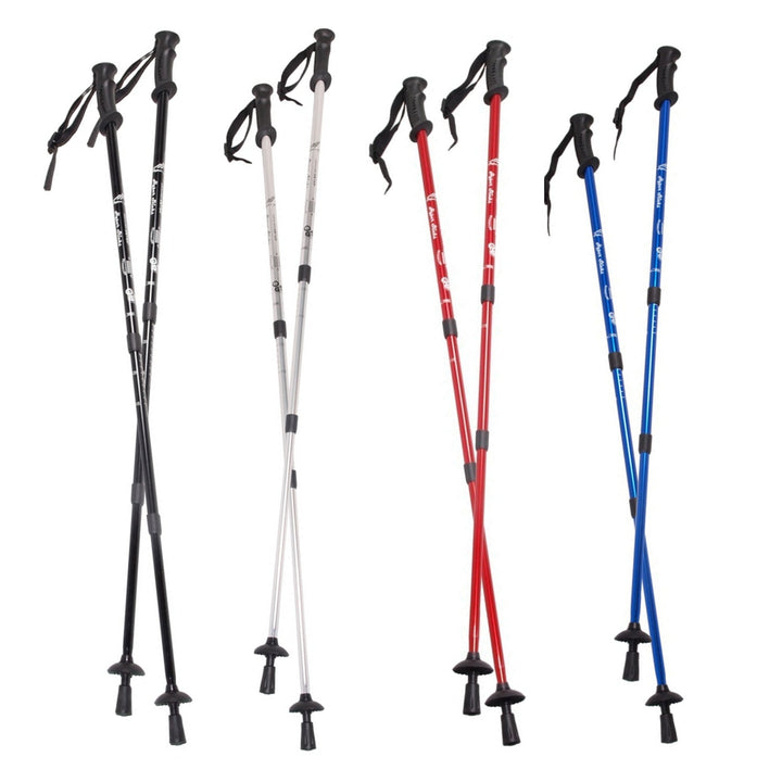 Aluminijski štapovi za nordijsko hodanje, 65–135 cm, teleskopski, srebrni