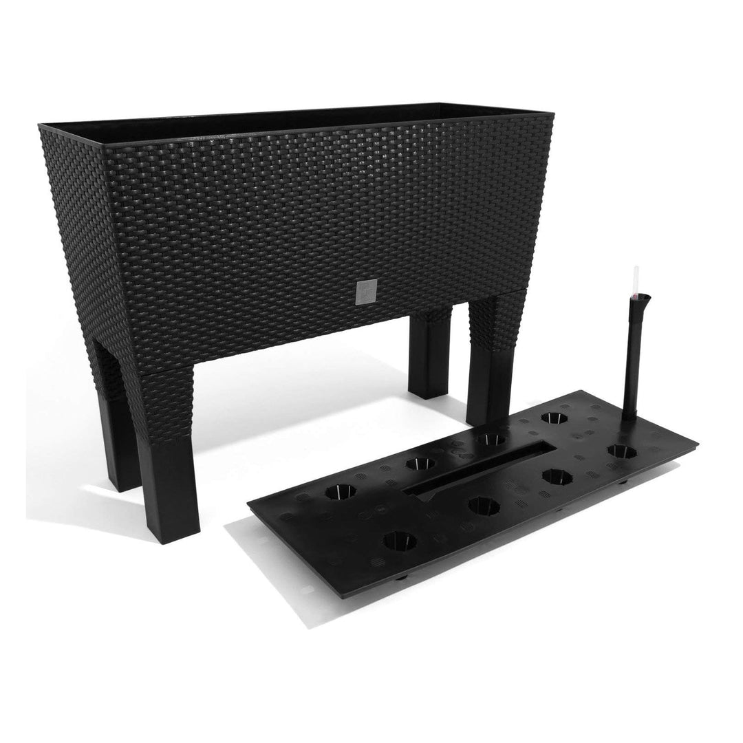 Prosperplast Rato Case DRTC800H S433 antacitni vrtni posud za sadilice od ratana