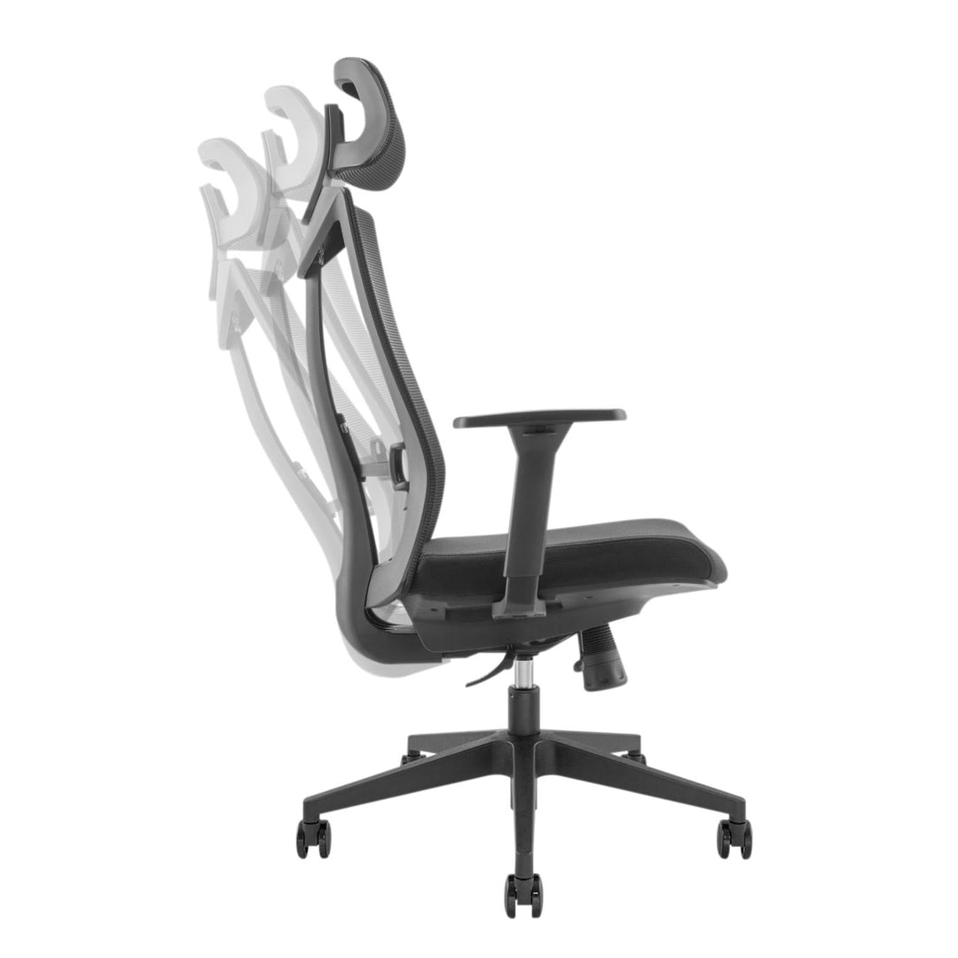 Ergo Office premium ergonomski uredski stolac s visokim naslonom, max. 150 kg, ER-414
