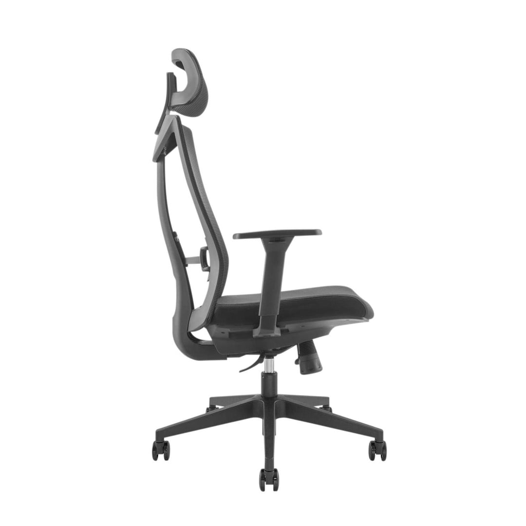 Ergo Office premium ergonomski uredski stolac s visokim naslonom, max. 150 kg, ER-414