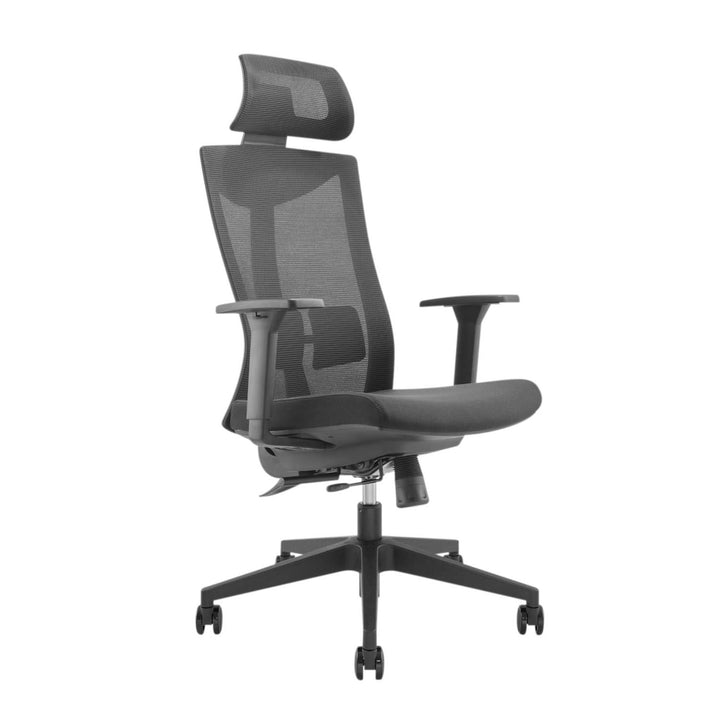 Ergo Office premium ergonomski uredski stolac s visokim naslonom, max. 150 kg, ER-414
