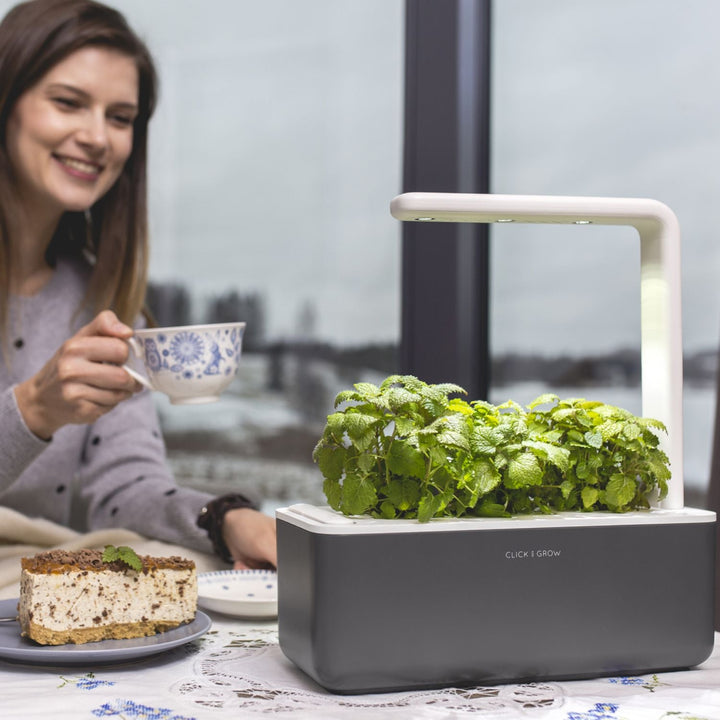 Click &amp; Grow Smart Garden 3 grădină de casă gri + capsule de busuioc