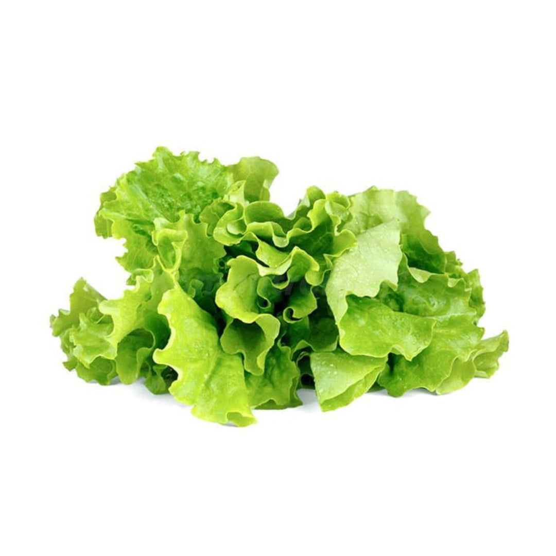 Seminte Click &amp; Grow Smart Garden pentru gradina de acasa - salata verde