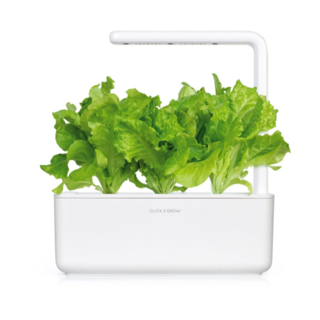 Seminte Click &amp; Grow Smart Garden pentru gradina de acasa - salata verde