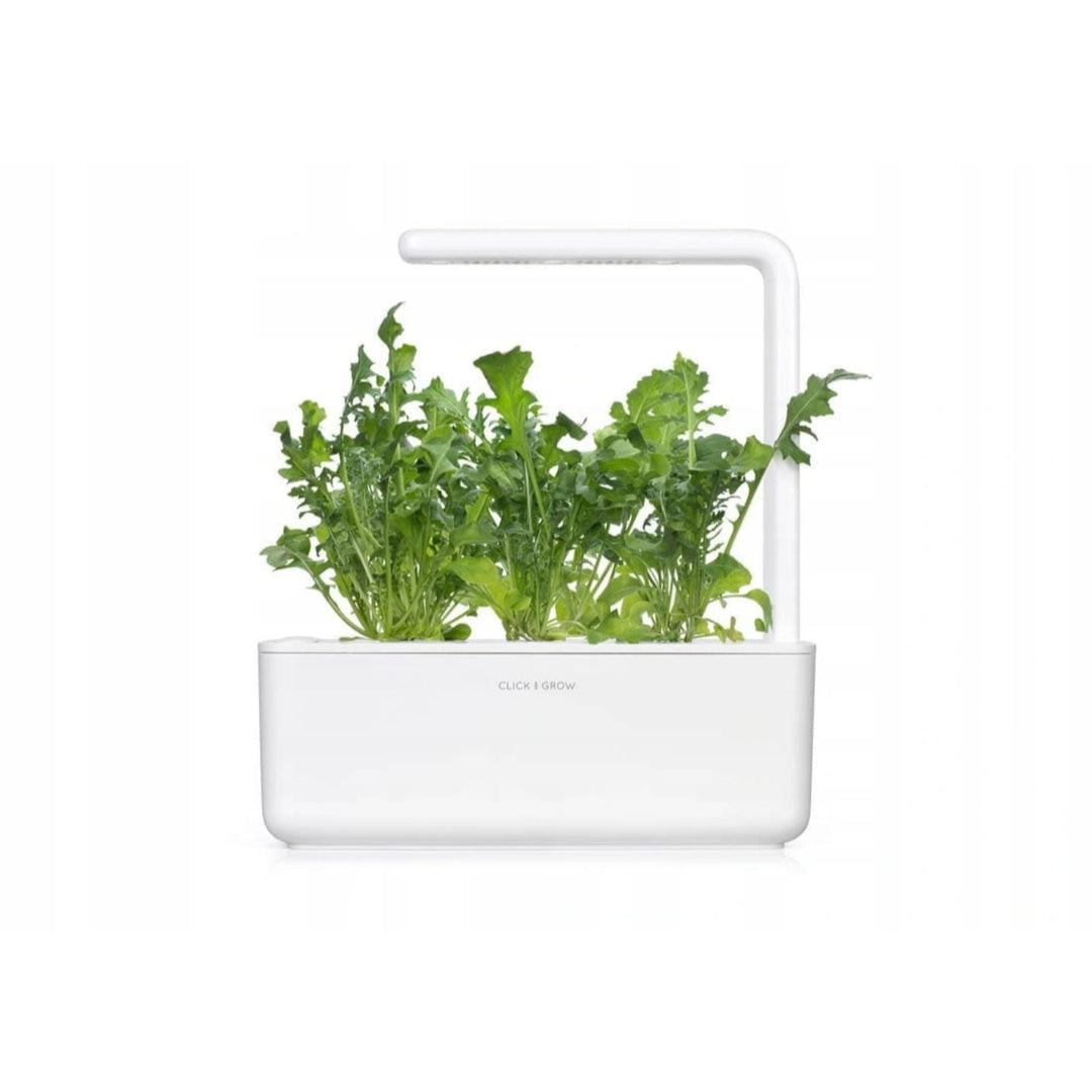 Seminte Click &amp; Grow Smart Garden pentru gradina de acasa - rucola