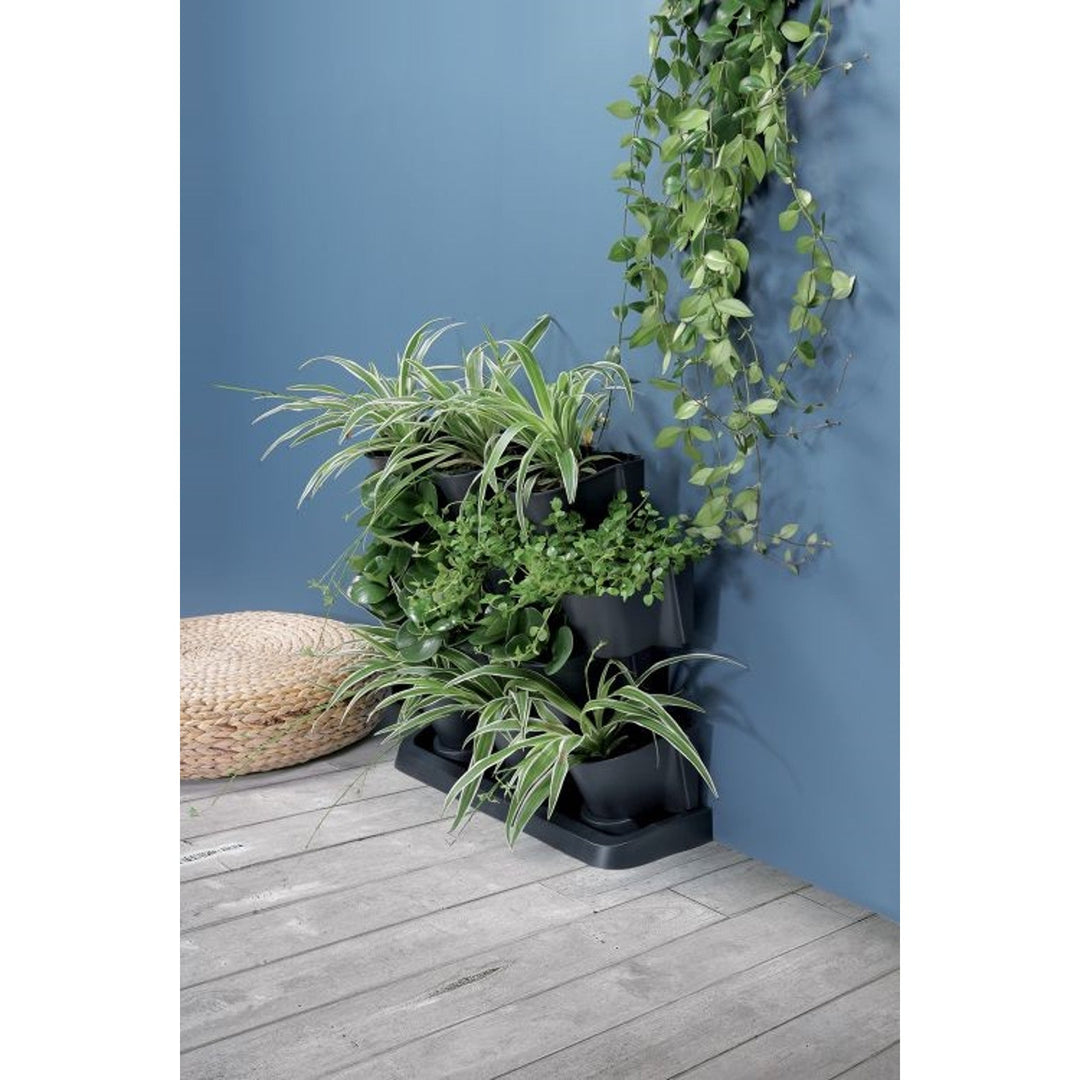 Prosperplast Cascade Garden vertikalni vrt, antracit