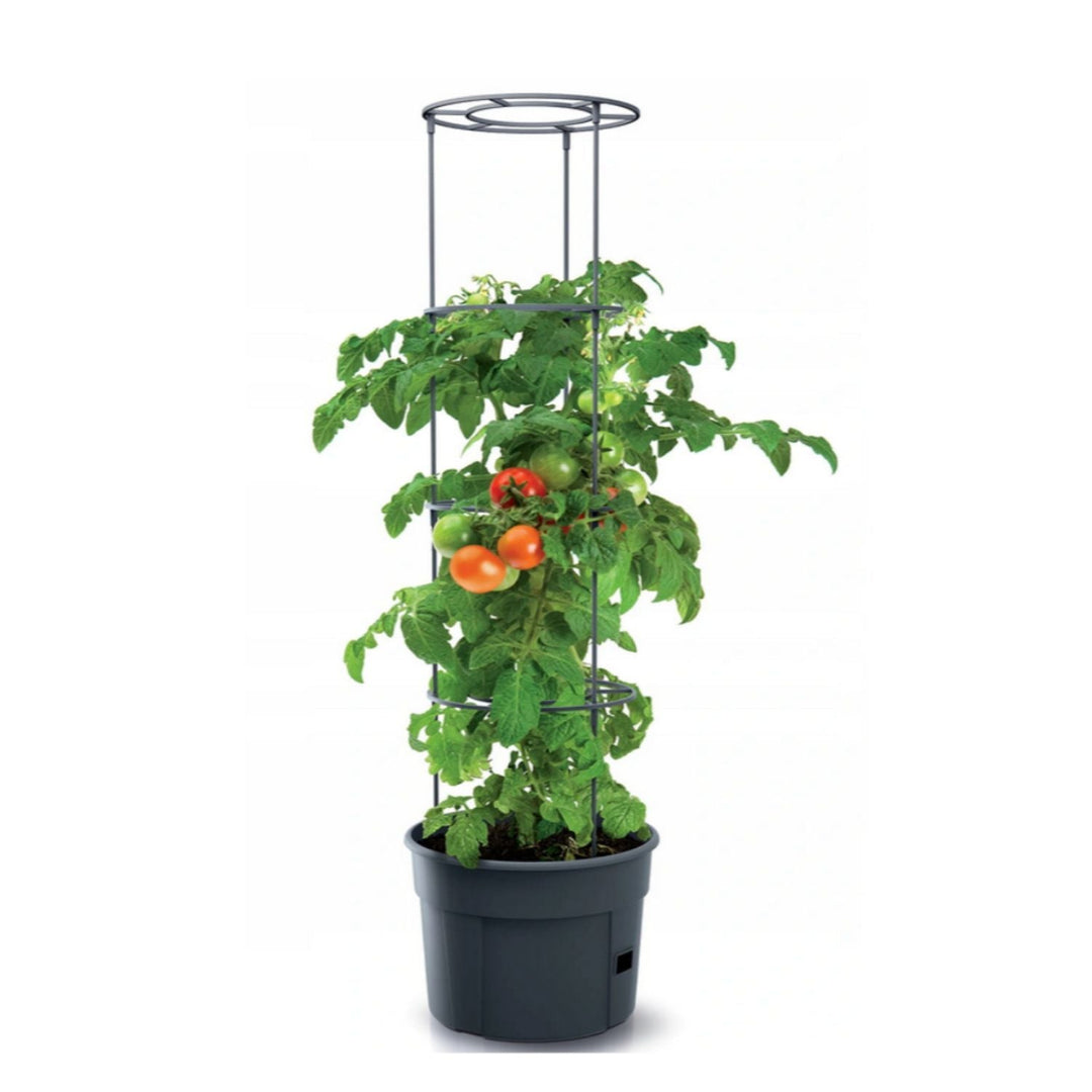 Saksija za paradajz otporna na mraz Tomato Grower IPOM300