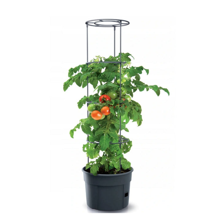 Saksija za paradajz otporna na mraz Tomato Grower IPOM300