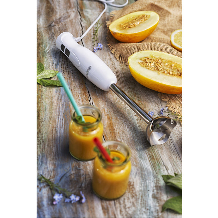 Mesko MS 4619 ručni blender s maksimalnom snagom od 300 W