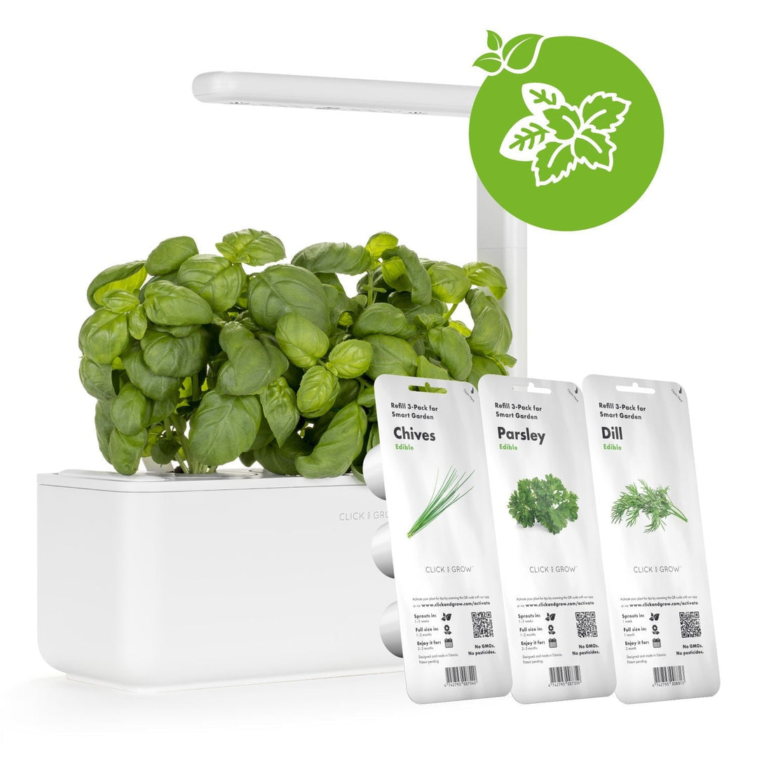 ALLOCACOC Gradina Click &amp; Grow 3 Pcs Plant Pod Grow Kit Refill Dill