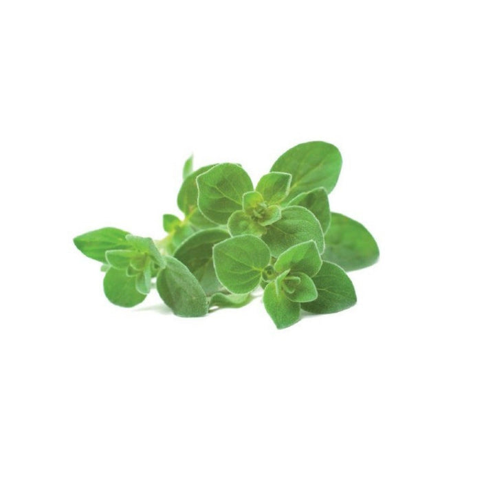 Capsulă de substrat pentru semințe de plante pentru interior Click &amp; Grow - Smart Garden - Set de 3 Oregano