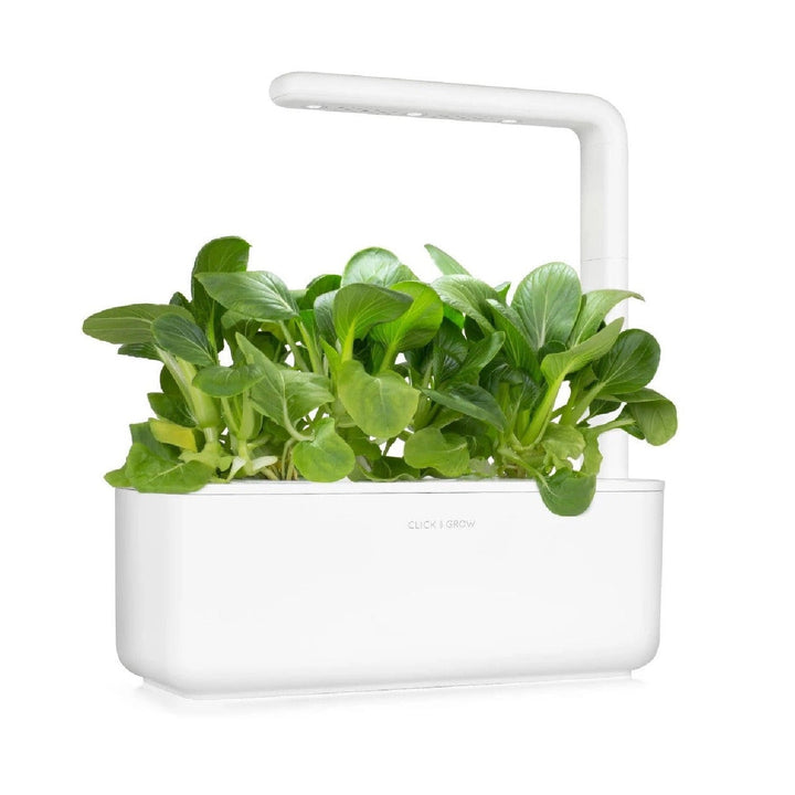 Semințe de plante Substrat Capsulă pentru interior Click &amp; Grow - Smart Garden - Set de 3 varză chinezească