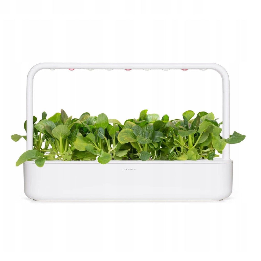 Semințe de plante Substrat Capsulă pentru interior Click &amp; Grow - Smart Garden - Set de 3 varză chinezească