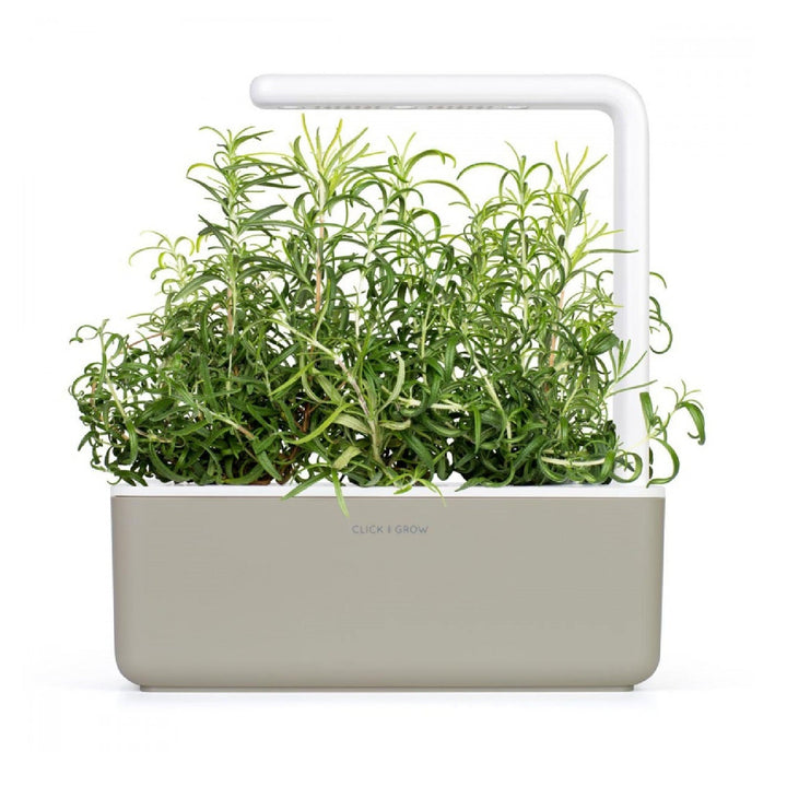 Capsulă de substrat pentru semințe de plante pentru interior Click &amp; Grow - Smart Garden - Set de 3 rozmarin