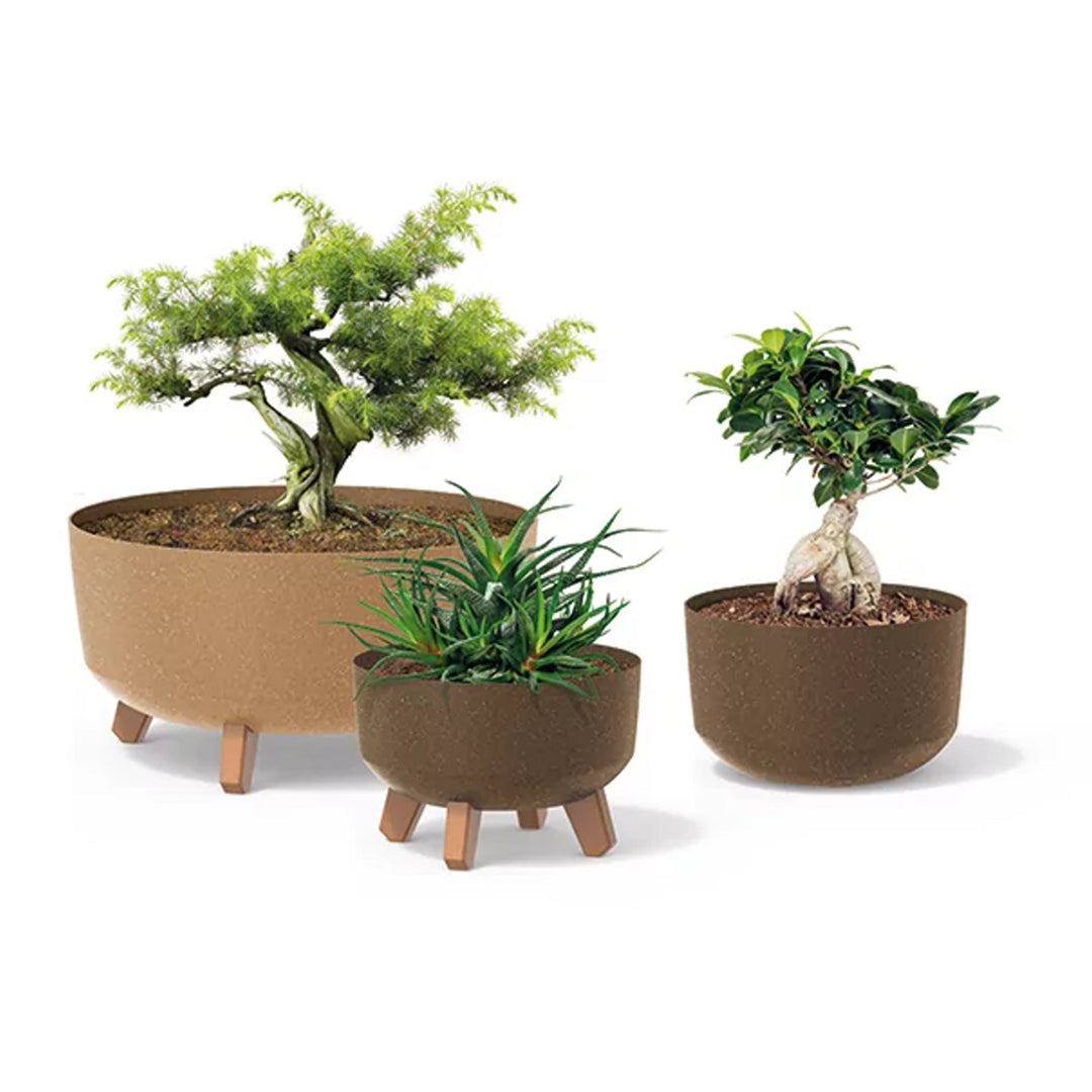 Gracia ECO Wood DGRL240W-S433W saksija – antracit ECO boja