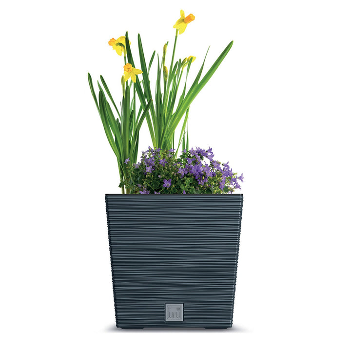 Prosperplast Furu četvrtasti niski lonac DFS300-S433 s umetkom – antracitna boja