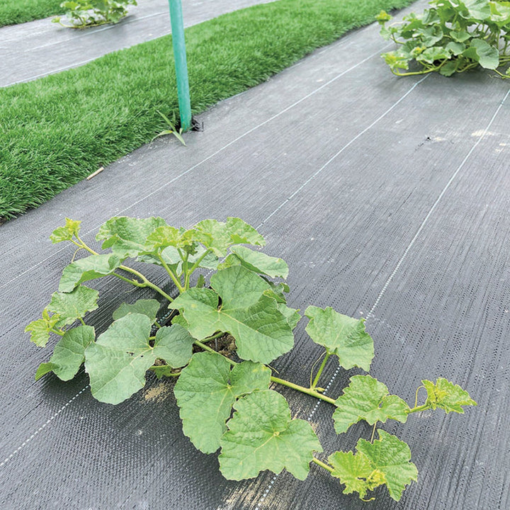 Greenmill agrotextil za suzbijanje korova, 100 g, 1 x 5 m, crna, GR1016